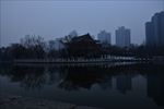 傍晚的兴庆公园