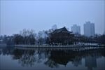 兴庆公园