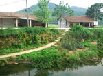 乡间小路