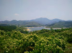 蕙兰山