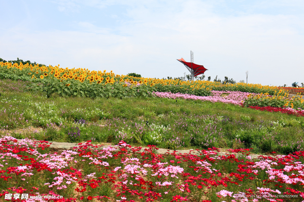 四季花田