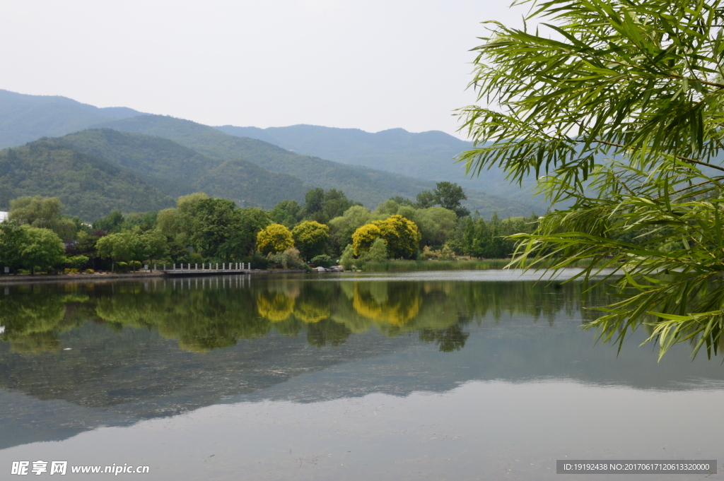 植物园风景