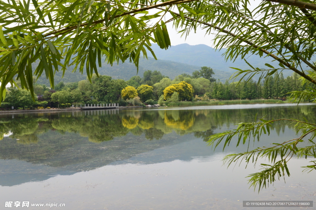 植物园风景
