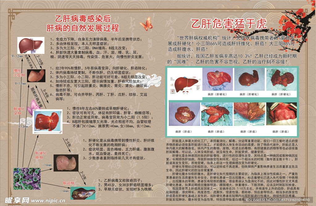 肝病宣传