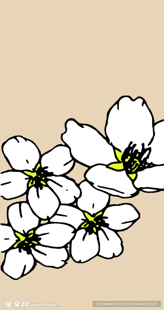 白色花