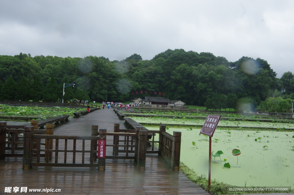 雨天游客