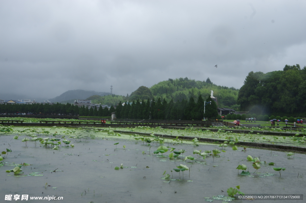 雨天游客