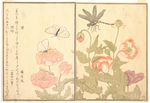 日本浮世绘 日本名画 浮世绘