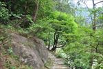 走山路