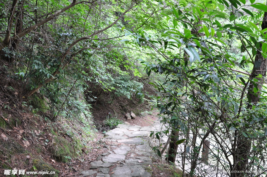 山路