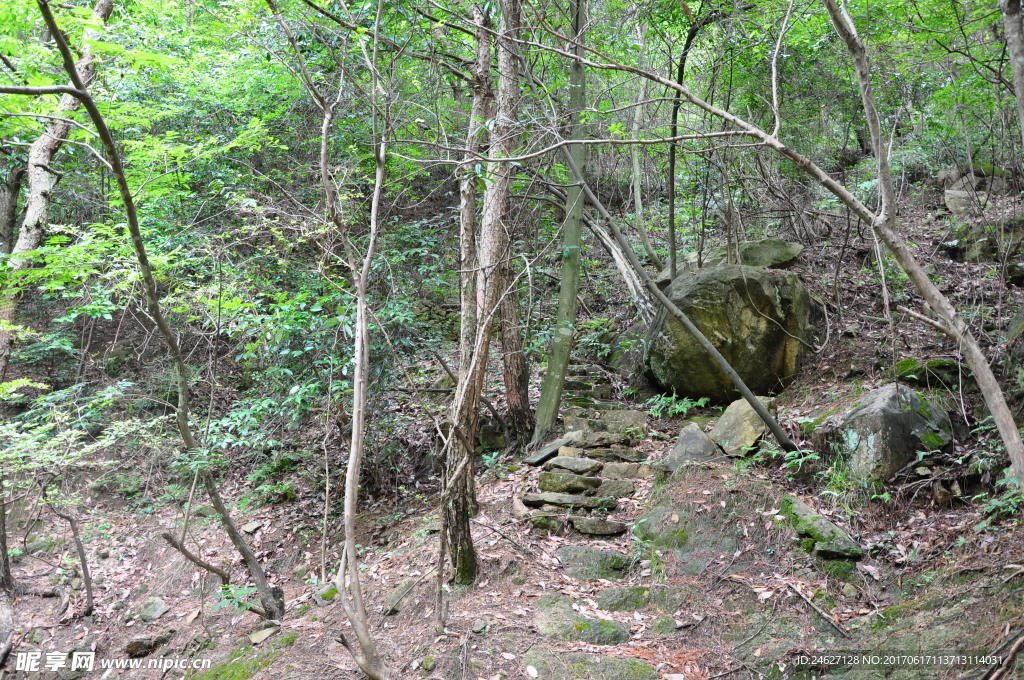风景摄影