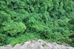 山水摄影