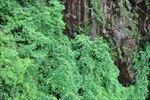 风景摄影