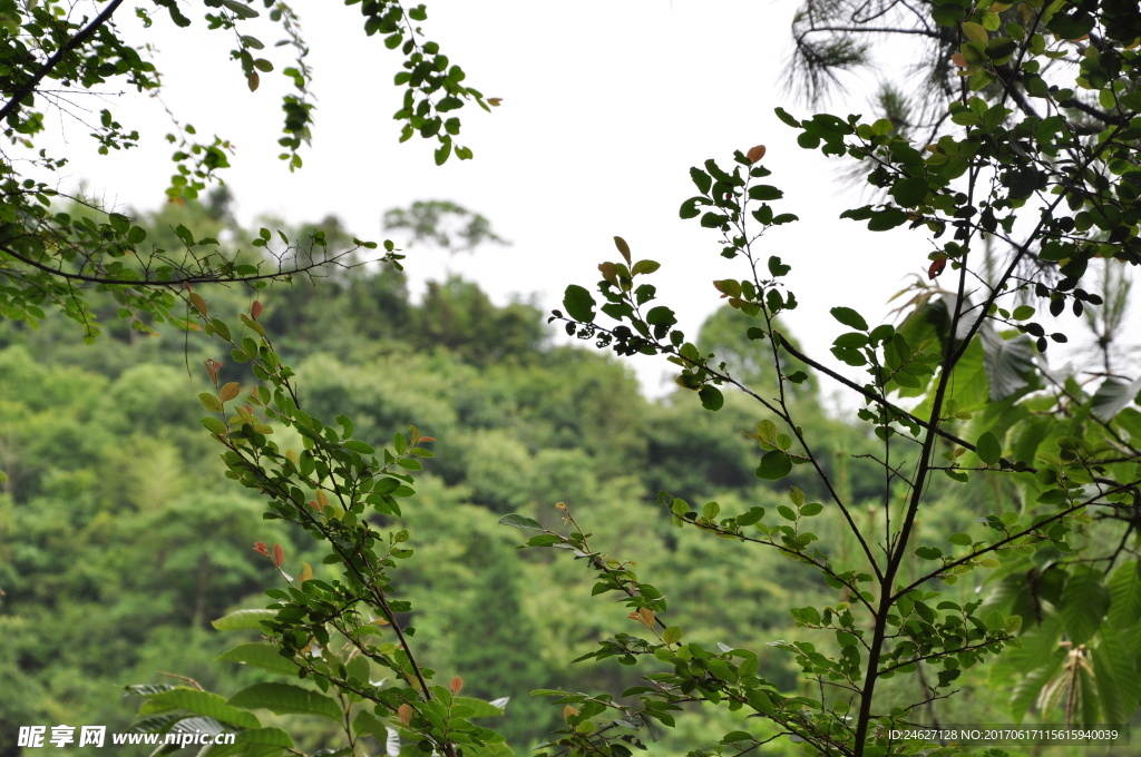 风景摄影