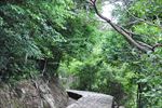 山路