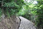 山路