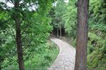 山路