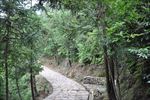 山路