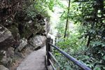 山路