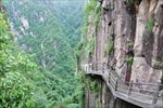 峭壁山路