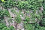 山中峭壁