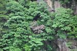 山水风景