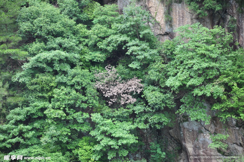 山水风景