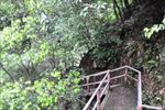 山路