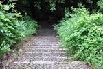 山路