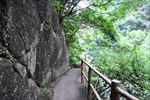 山路