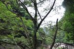 风景摄影