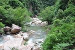 小溪水