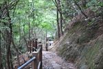山路