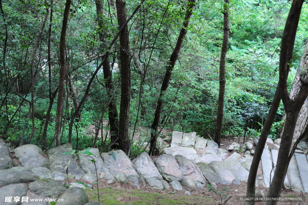 山路