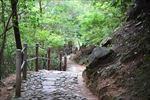 山路蜿蜒