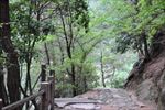 山路