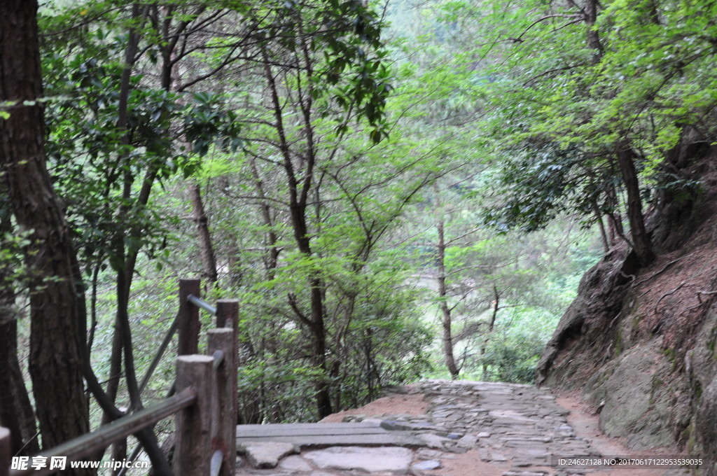 山路