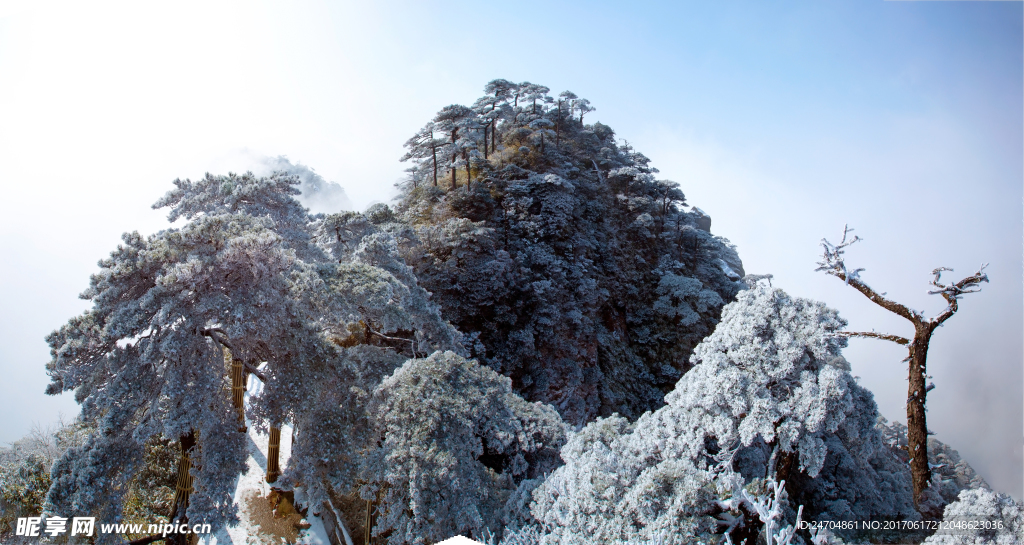 三清山雾凇