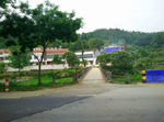 蔡家畈