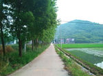通组路