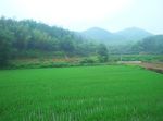 田园风光