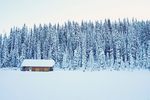 雪山中的树林和房子