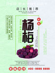 杨梅促销海报