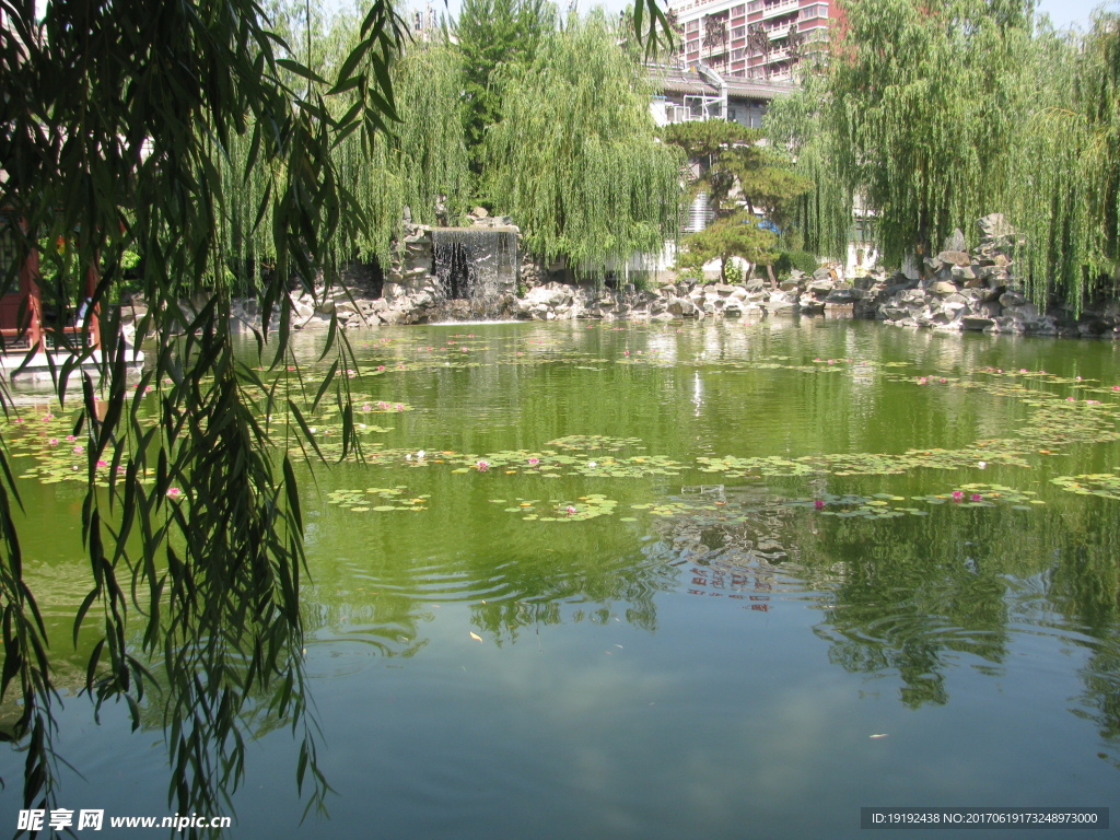 大观园风景