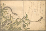 日本浮世绘 日本名画 浮世绘