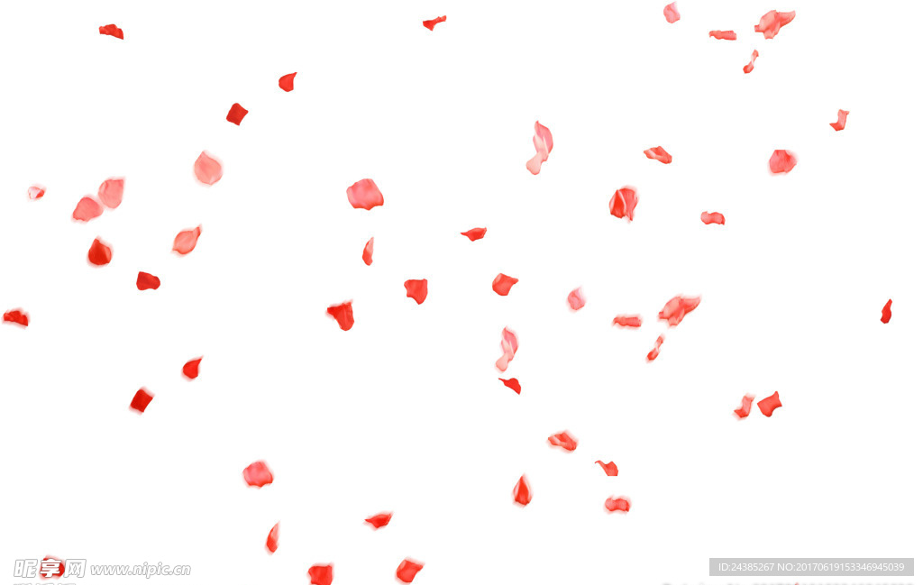 玫瑰花瓣