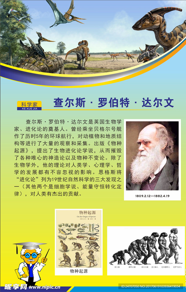 达尔文挂图
