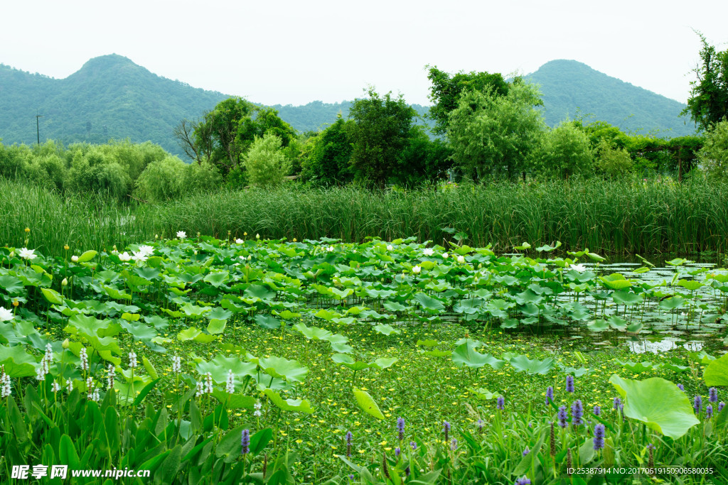 湘湖风景