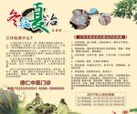三伏贴 三伏灸 冬病夏治
