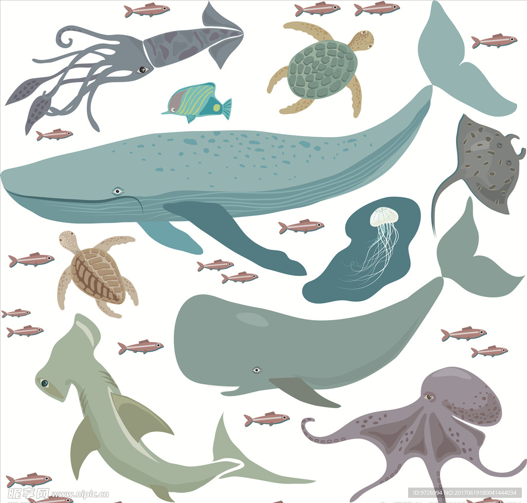 海底世界海洋生物